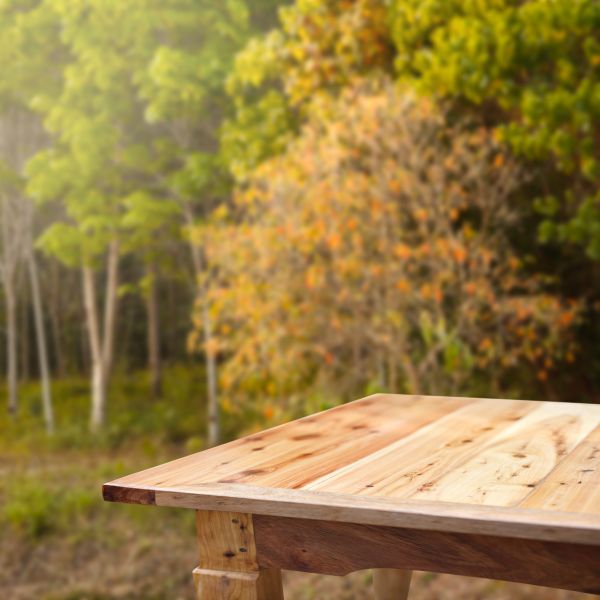 Outdoor Table Repair